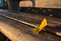 A yellow and shining fall leaf on a bank bench