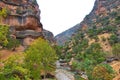 The Yellow of Shirz Canyon, a canyon of geotouristic importance, near Kuhdasht, Lorestan in Iran Royalty Free Stock Photo