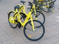 Yellow Short Term Rental Share Bicycles