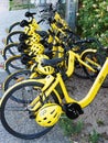 Yellow Short Term Rental Share Bicycles