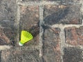 Yellow Shuttlecocks Badminton isolated on brick floor