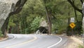 Yellow sign deer crossing in forest. Road trip, Yosemite, California wildlife.