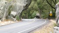 Yellow sign deer crossing in forest. Road trip, Yosemite, California wildlife.