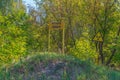 Yellow sign marking buried radioactive material in Chernobyl exclusion zone in the Ukraine Royalty Free Stock Photo