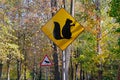 Yellow sign with a picture of squirrel with nut and warning sign `Caution, moose`