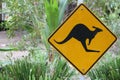 A yellow sign showing a kangaroo Royalty Free Stock Photo