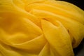 Yellow silk tender colored textile, elegance rippled material Royalty Free Stock Photo