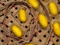 Yellow silk worm cocoons Royalty Free Stock Photo