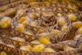 Yellow Silkworm cocoons Royalty Free Stock Photo