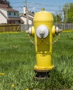 Yellow and silver Fire Hydrant Royalty Free Stock Photo