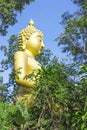 Yellow sitting Budha image