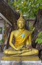 Yellow sitting Budha image