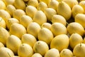 Yellow skin melon Royalty Free Stock Photo