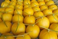 Yellow skin melon Royalty Free Stock Photo