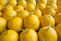 Yellow skin melon Royalty Free Stock Photo