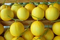 Yellow skin melon Royalty Free Stock Photo