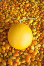 Yellow skin melon with tomato background Royalty Free Stock Photo