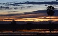 Yellow sky before sunset over shadow tree in rice field in evening Royalty Free Stock Photo