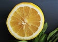 Yellow slice of lemon over wooden background