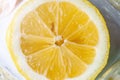 Yellow sliced juicy lemon closeup Royalty Free Stock Photo