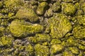 Rocky shoal in the Crimean mountain river, sunny shallow water
