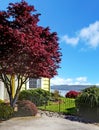 Yellow small home with water view and red maple. Royalty Free Stock Photo