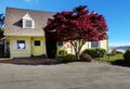 Yellow small home with water view and red maple.