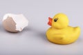 Yellow small plastic duck with egg isolated Royalty Free Stock Photo