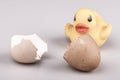 Yellow small plastic duck with egg isolated Royalty Free Stock Photo