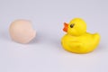 Yellow small plastic duck with egg isolated on a white background Royalty Free Stock Photo