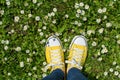 Yellow sneakers in a dasiy field. First person view Royalty Free Stock Photo