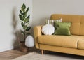 A yellow sofa with decorative pillows, a ficus in a basket, a paper lamp, a carpet - a cozy simple living room interior Royalty Free Stock Photo