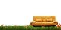 Yellow sofa and green grass