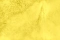 Yellow soft natural fur background in trendy color of the 2021 Year. Texture, abstract pattern Royalty Free Stock Photo