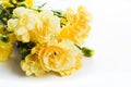 Yellow soft spring flowers bouquet on white background