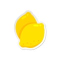 Yellow sour lemon. Vector illustration of citrus.