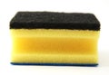 Yellow sponge