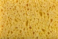 Yellow sponge texture Royalty Free Stock Photo