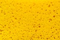 Yellow sponge texture Royalty Free Stock Photo