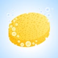 Yellow sponge