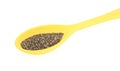 Yellow Spoon With Chia Seeds