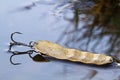 Yellow spoon lying on thin autumn ice