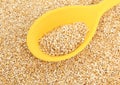 Yellow Spoon In Raw Oatmeal