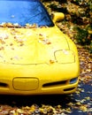 Yellow Sportscar