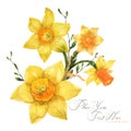 Yellow spring floral bouquet with daffodil flowers