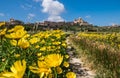 Yellow spring flowers on the foreground shooted wide opened aperture with unfocused Mdina old town and its fortifications- the