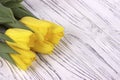 Yellow spring tulips on white wooden background. Place for text. Womans day. 8 March. Royalty Free Stock Photo