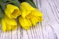 Yellow spring tulips on white wooden background. Place for text. Womans day. 8 March. Royalty Free Stock Photo