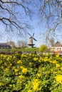 Yellow springflowers in front of the historic windmill of Gorinchem Royalty Free Stock Photo