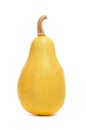 Yellow squash